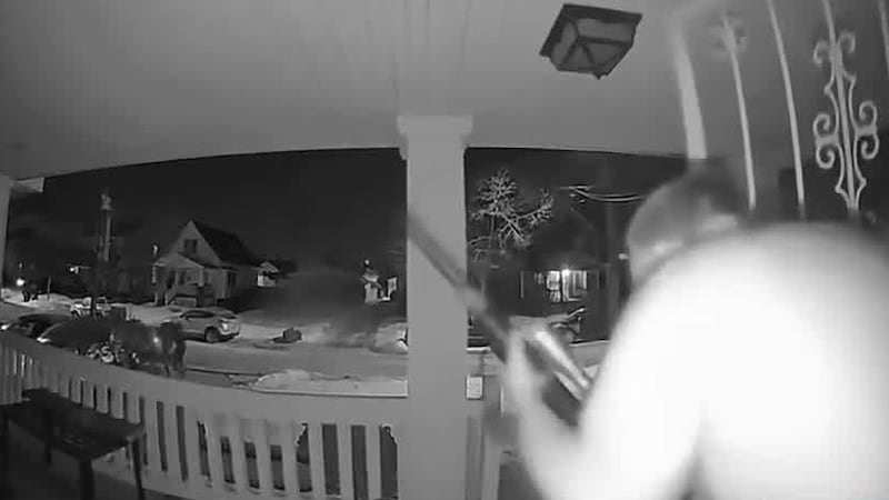 Your rights under ‘Castle Doctrine’ if perceived threat is on your Northeast Ohio property