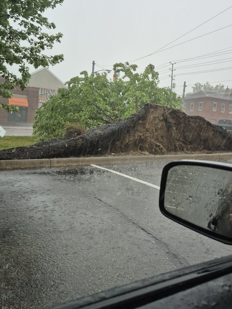 Vientos y lluvias fuertes lograron destruir este árbol en Lawrenceburg, Indiana.