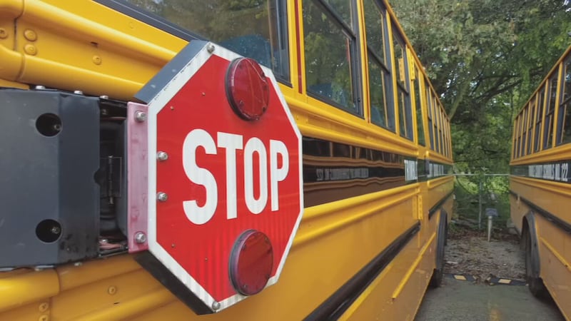 Schools bus