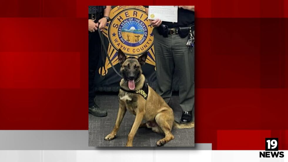 Wayne County Sheriff Officer K9 Vick was struck by gunfire and remains in serious condition at...