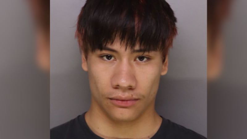 Diego Vanderveen, 19, el acusado de tres cargos de difusión de material perjudicial para...