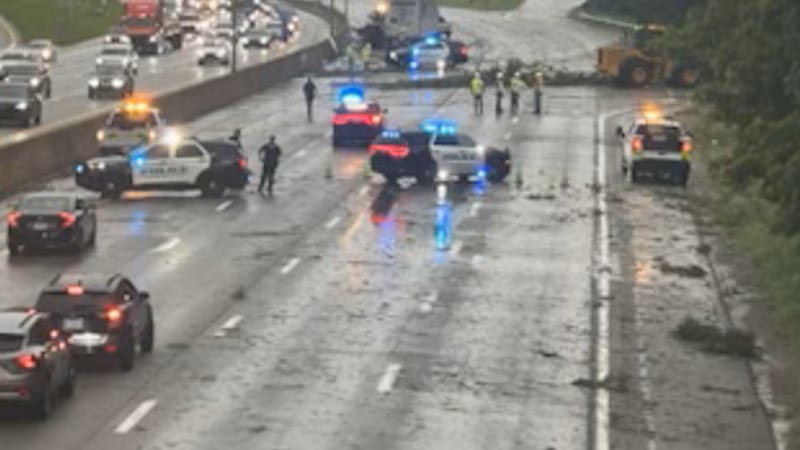 A tree falls on I-71 at Robertson Avenue, putting traffic at a standstill.