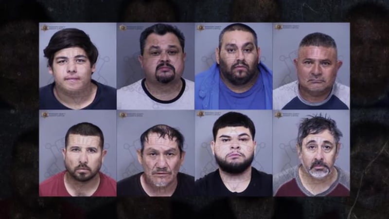 Unos 157 gallos fueron rescatados por la Oficina del Alguacil del Condado de Maricopa,...